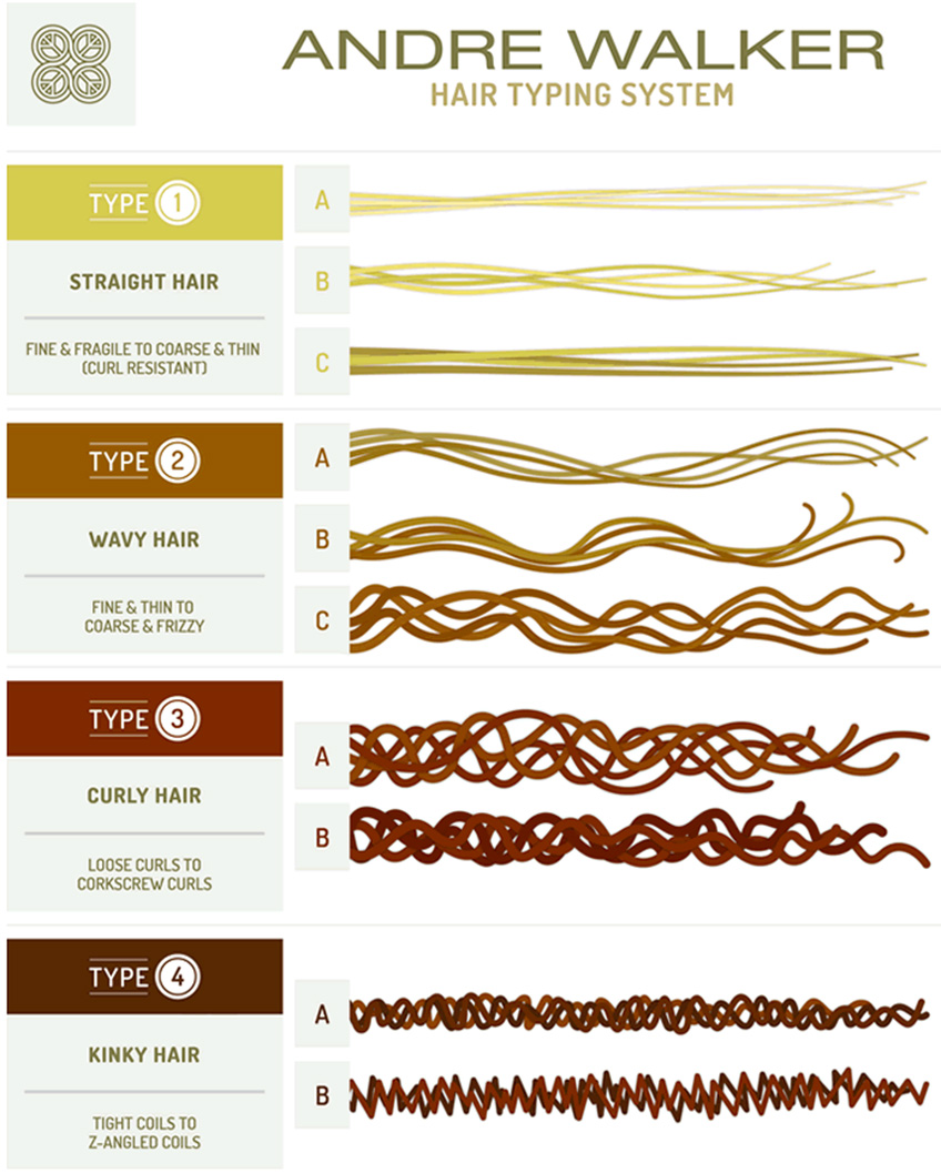 What Are The Different Hair Types How To Determine Your Hair Type